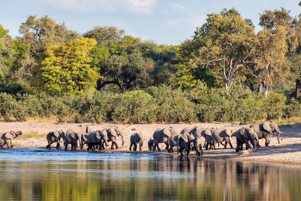 Bwabwata National Park