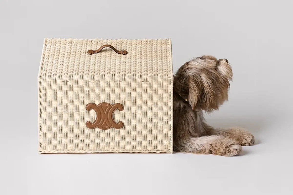 Celine dog accessory