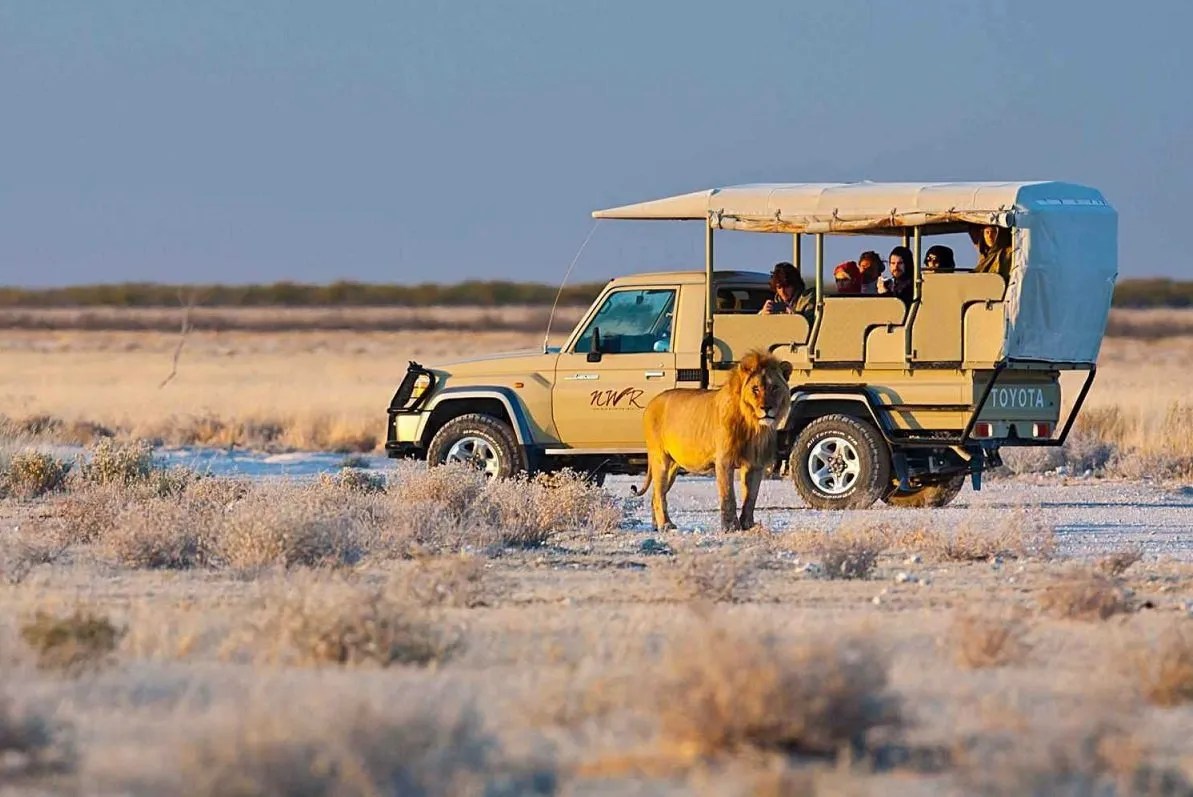 Etosha National Park