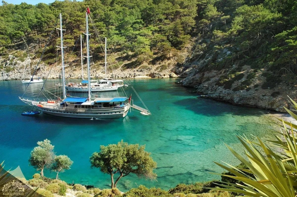 Island Hopping Cruise