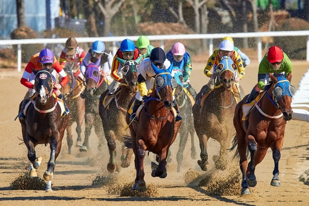 Racehorses, An Investment For Profit And Lifestyle