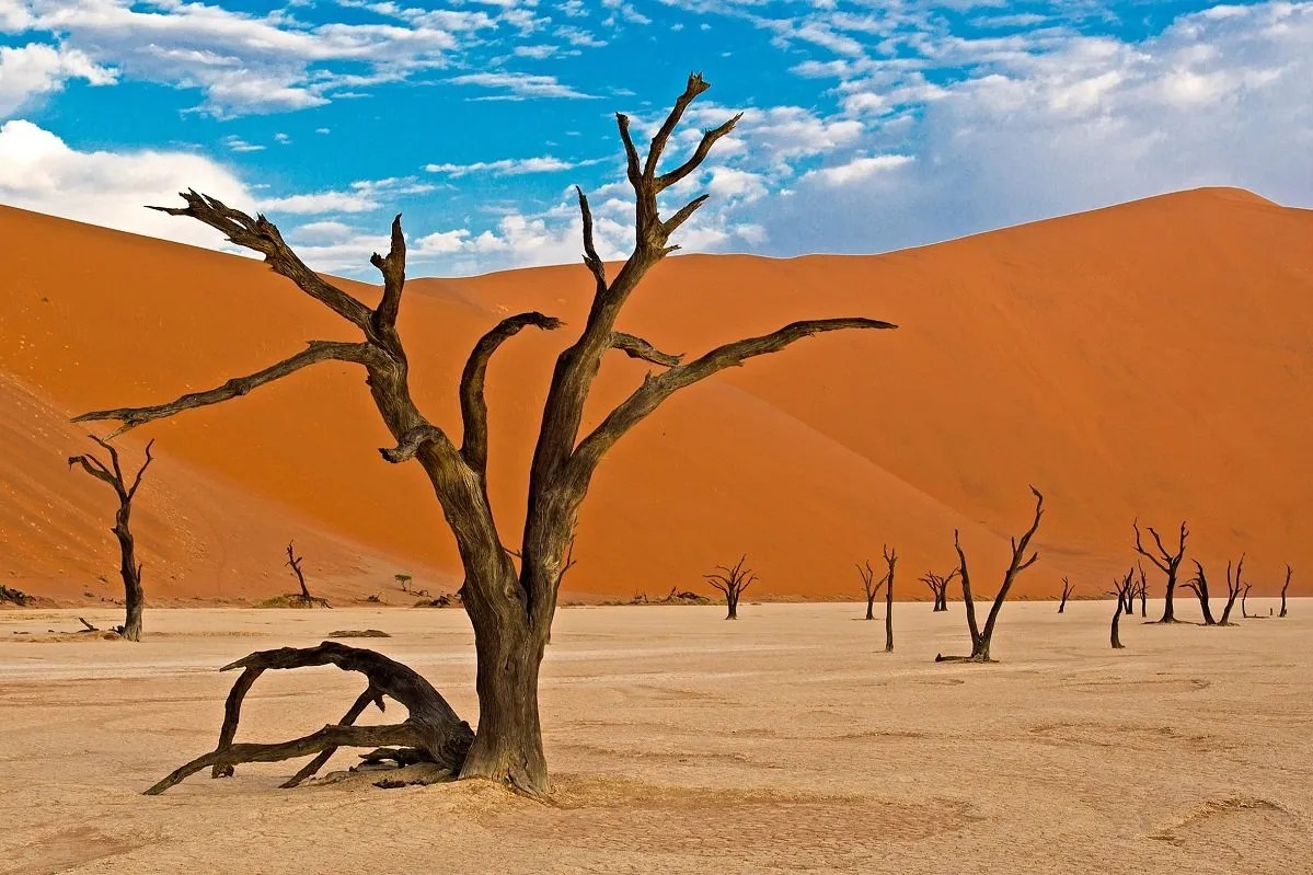 Namib-Naukluft National Park, Namibia