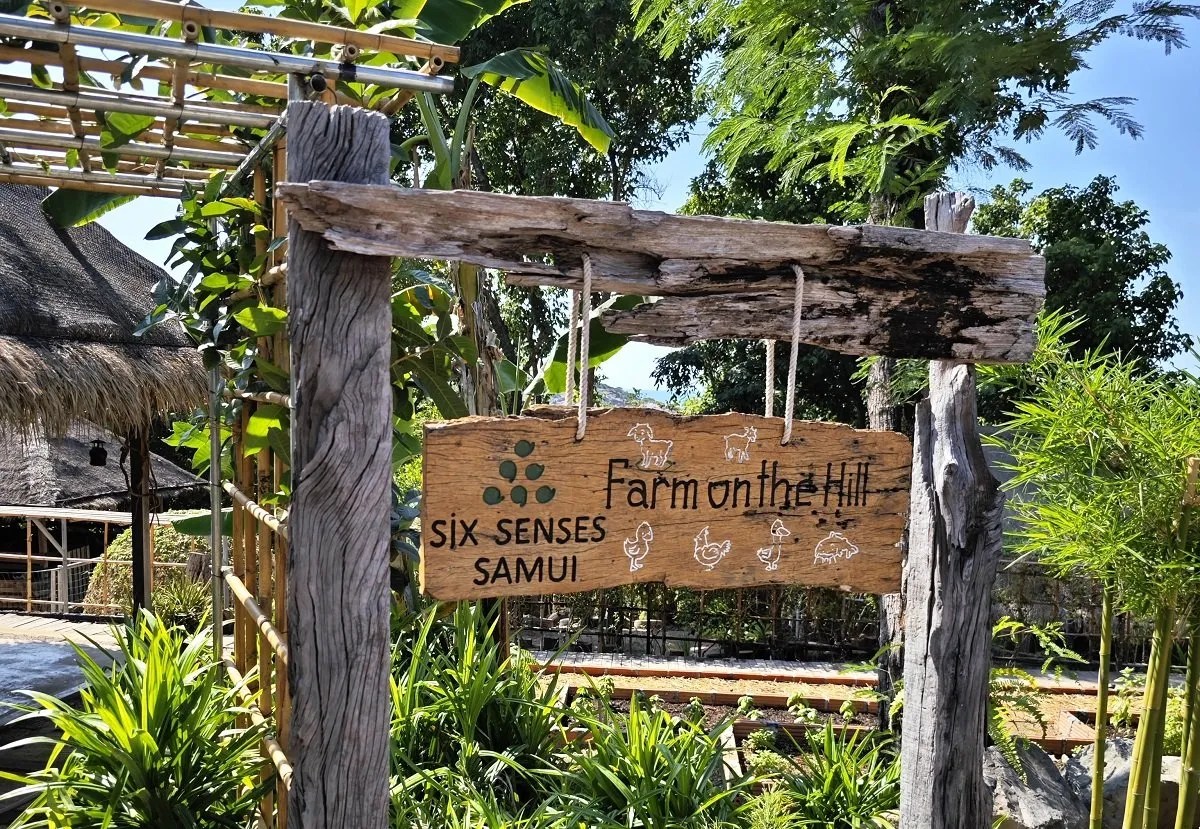 Six Senses Samui - In-house farm