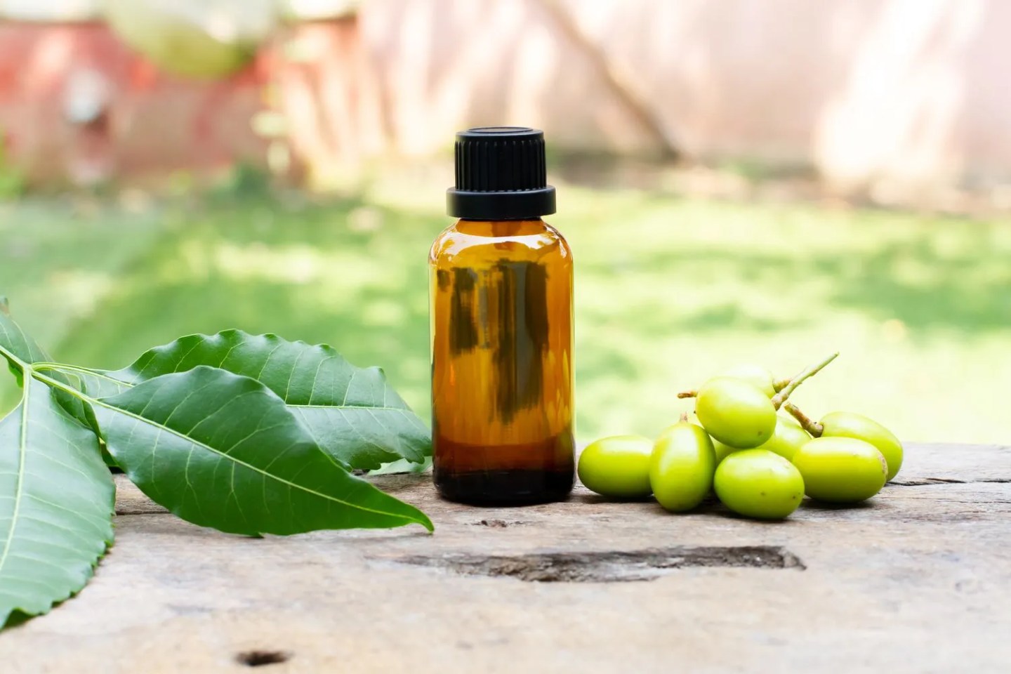 Neem oil