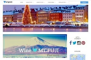 trip101 - homepage